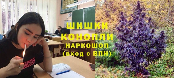 прущие крисы Арсеньев