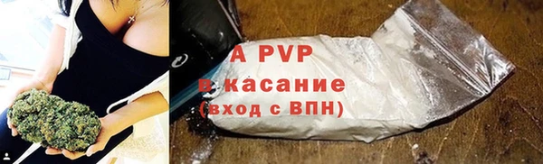 гашик Аркадак