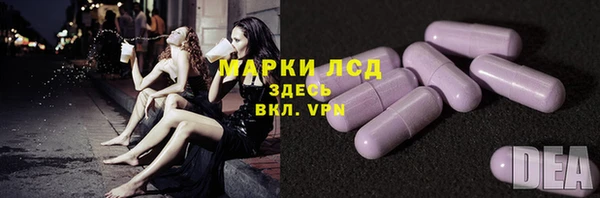 гашик Аркадак