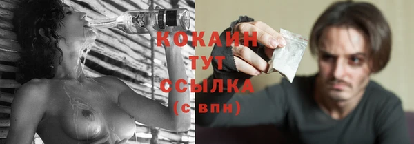 гашик Аркадак