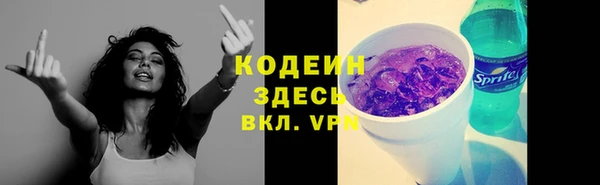 гашик Аркадак