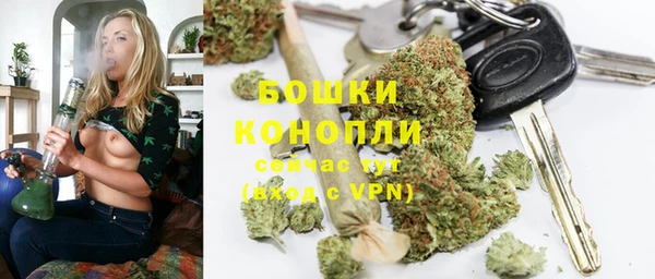 гашик Аркадак
